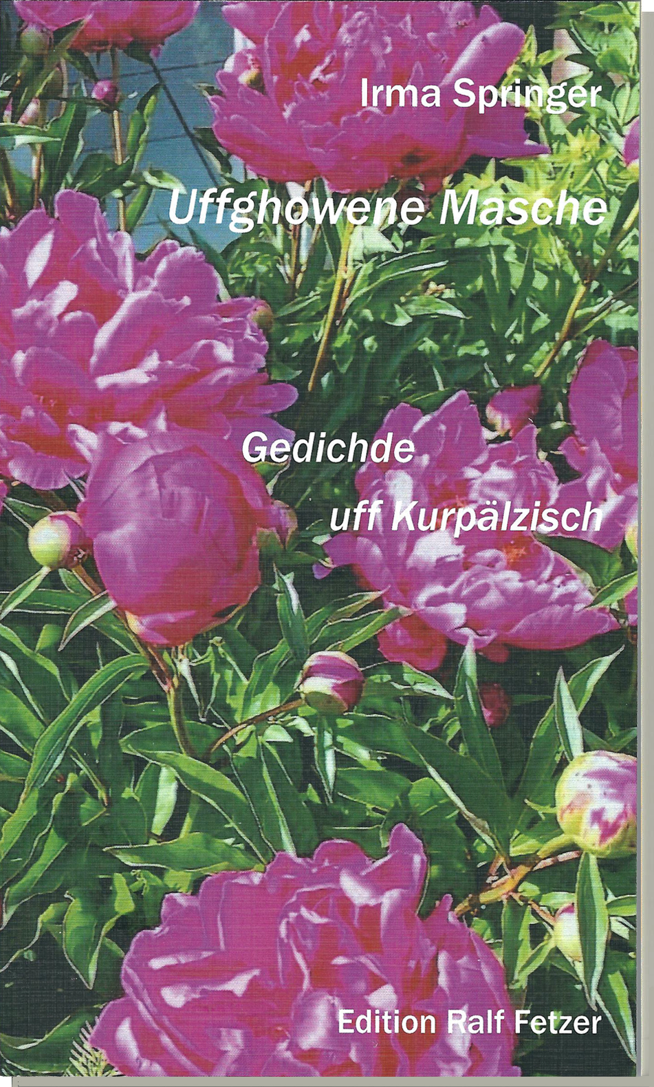 Buch Kurpälzisch gstrickt